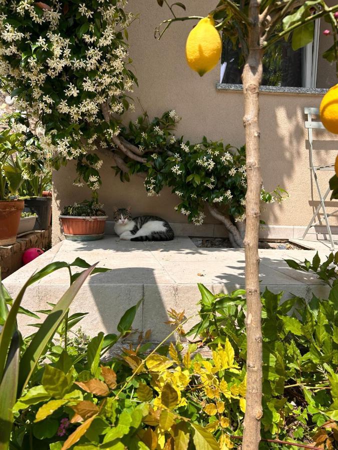 Bea Trees - Lake Garda Puegnago Exterior photo